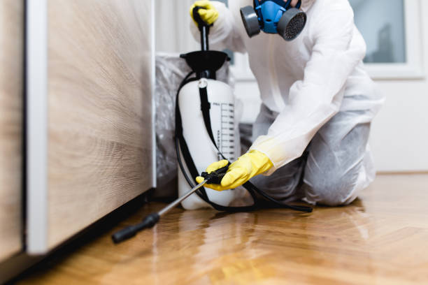 Best Best Pest Control Near Me  in Koontz Lake, IN