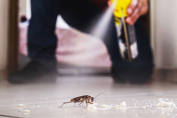 Best Local Pest Control Services  in Koontz Lake, IN