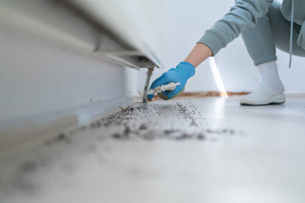 Best Pest Inspection Near Me  in Koontz Lake, IN